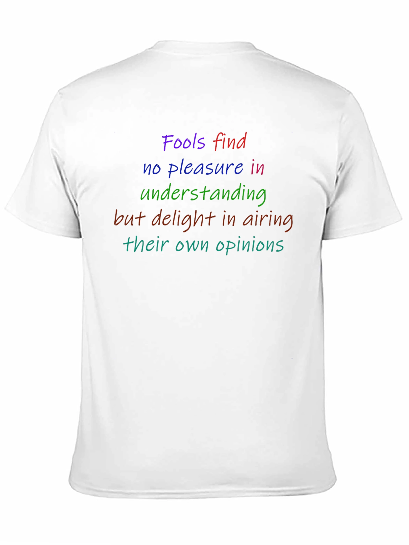 Statement T-Shirt: Fools find no pleasure